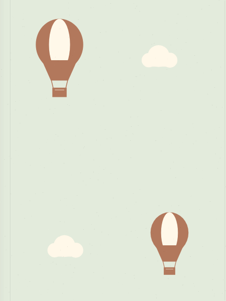 Balloon journey — Notebook covers